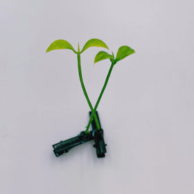Xtzggys clips held in hand to show size and portability for everyday use