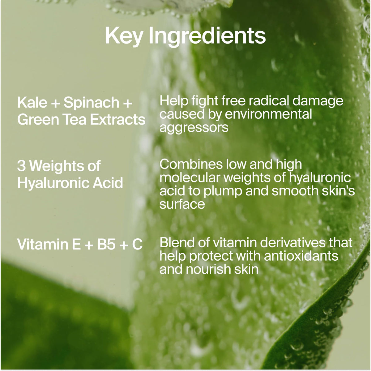 Youth To The People green tea leaves close-up showing antioxidant-rich ingredient benefit