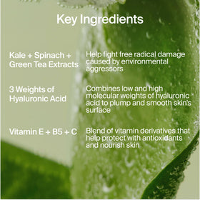Youth To The People green tea leaves close-up showing antioxidant-rich ingredient benefit