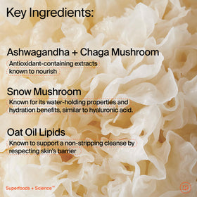 Youth To The People ingredient shot of ashwagandha and chaga calming redness