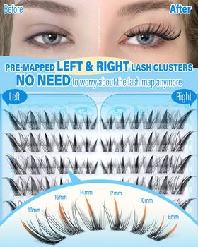 Zegaine lashes worn on model producing fox-eye shape and enhanced definition