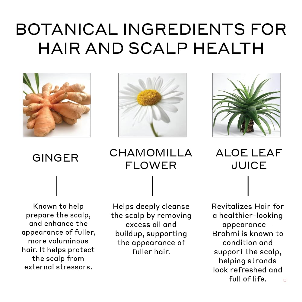 Zenagen Revolve close-up label showing ingredients and color-safe claim