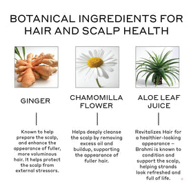 Zenagen Revolve close-up label showing ingredients and color-safe claim