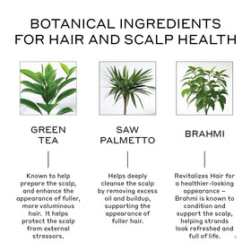 Zenagen Revolve shampoo lather on hair demonstrating gentle cleansing benefit