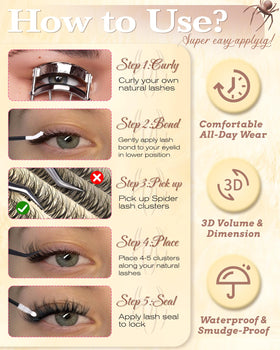 zenotti on-eye profile showing wispy D-curl lift and definition