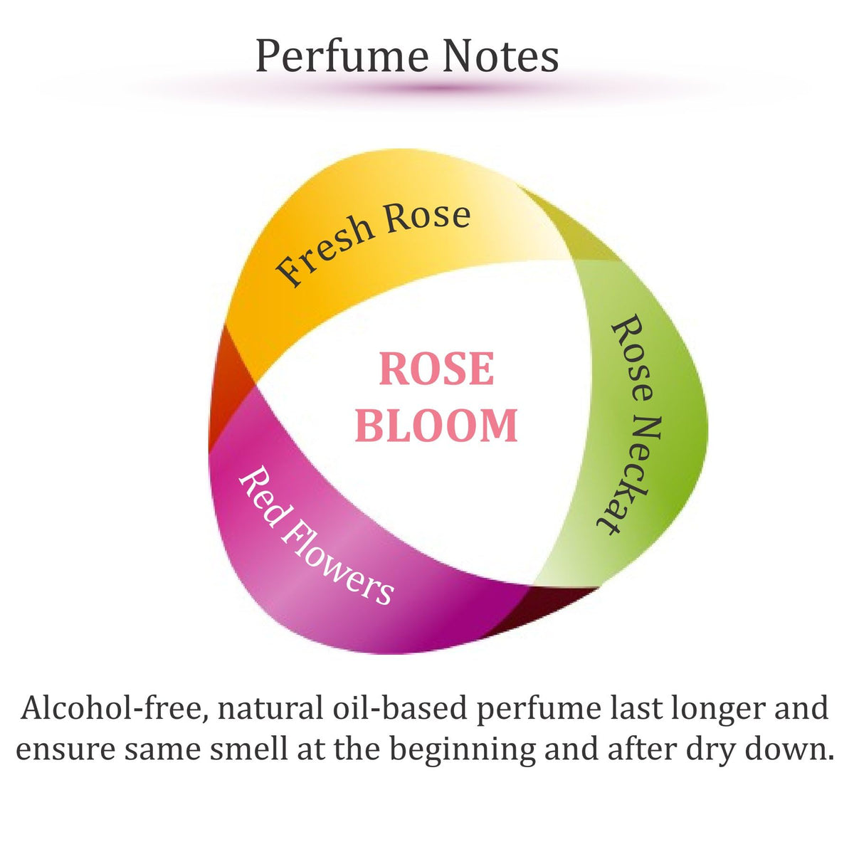 Zoha Rose Bloom roller detail displaying metal ball applicator for precise use