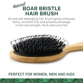Zollo close-up of black boar bristles distributing natural oils for added shine
