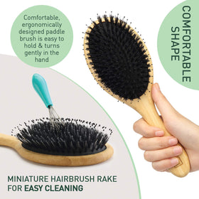 Zollo brush smoothing damp hair after shower for frizz control and styling ease